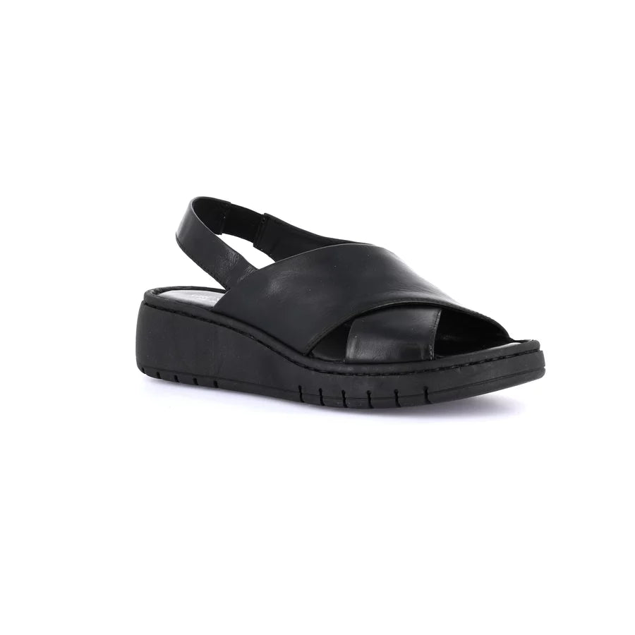 gid://shopify/Product/15711680233804_1
