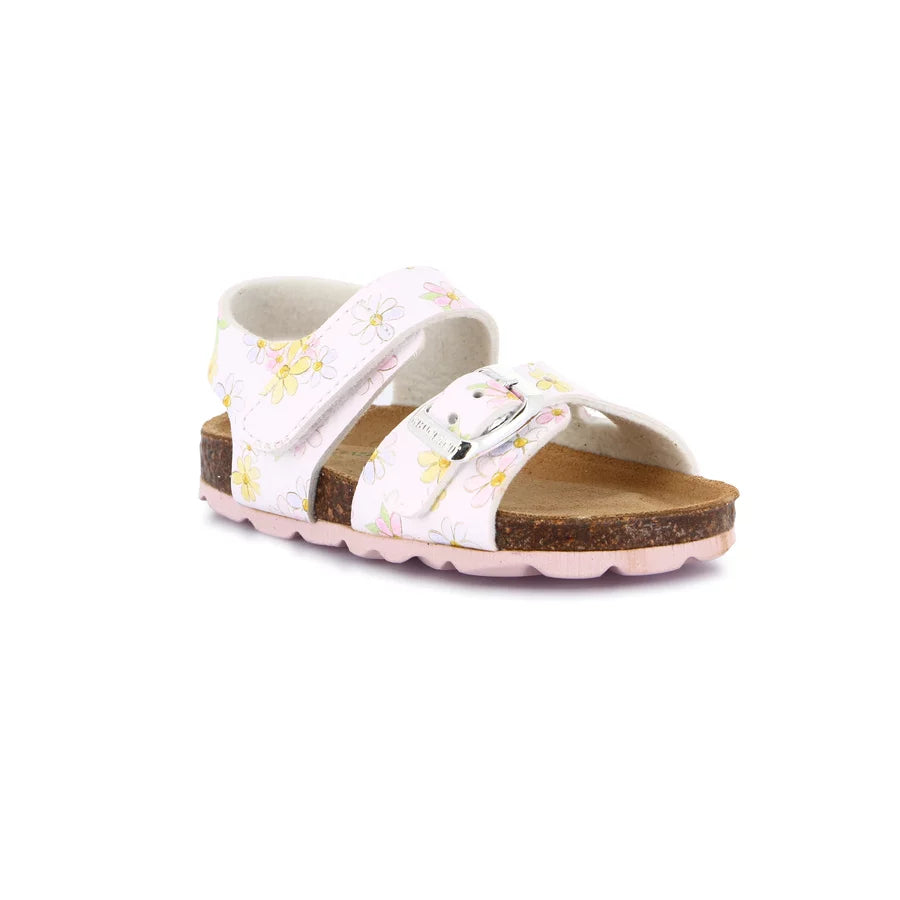 gid://shopify/Product/15713141326156_1