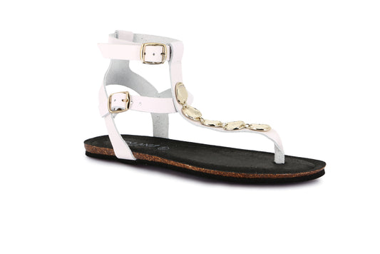 gid://shopify/Product/15798267085132_57721914851660
