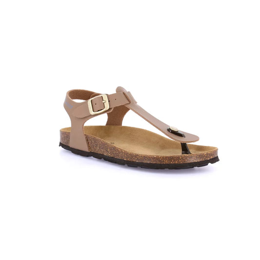 gid://shopify/Product/15711782240588_57337358680396