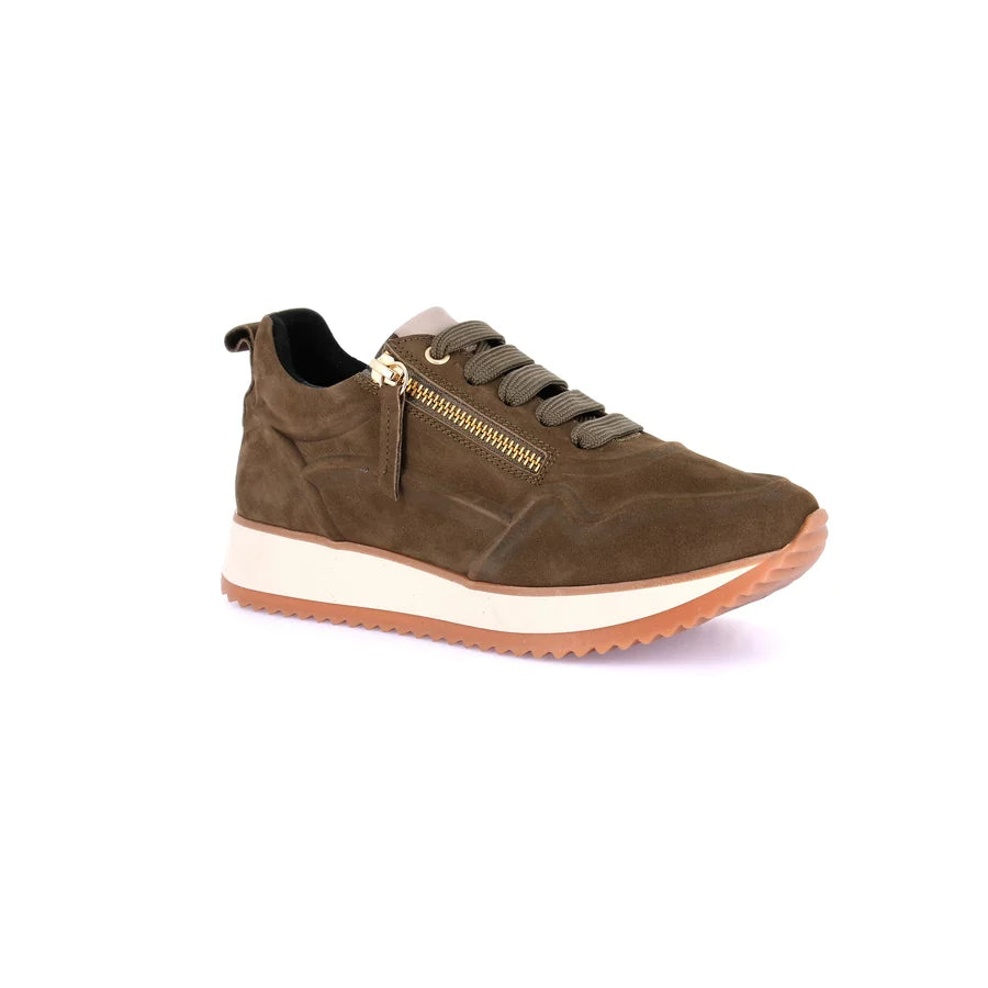 gid://shopify/Product/15712132399436_1