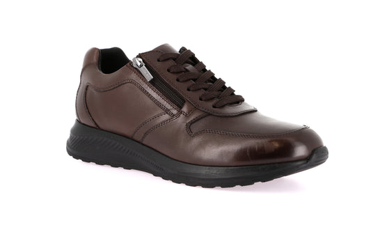 gid://shopify/Product/15712363413836_58818282160460