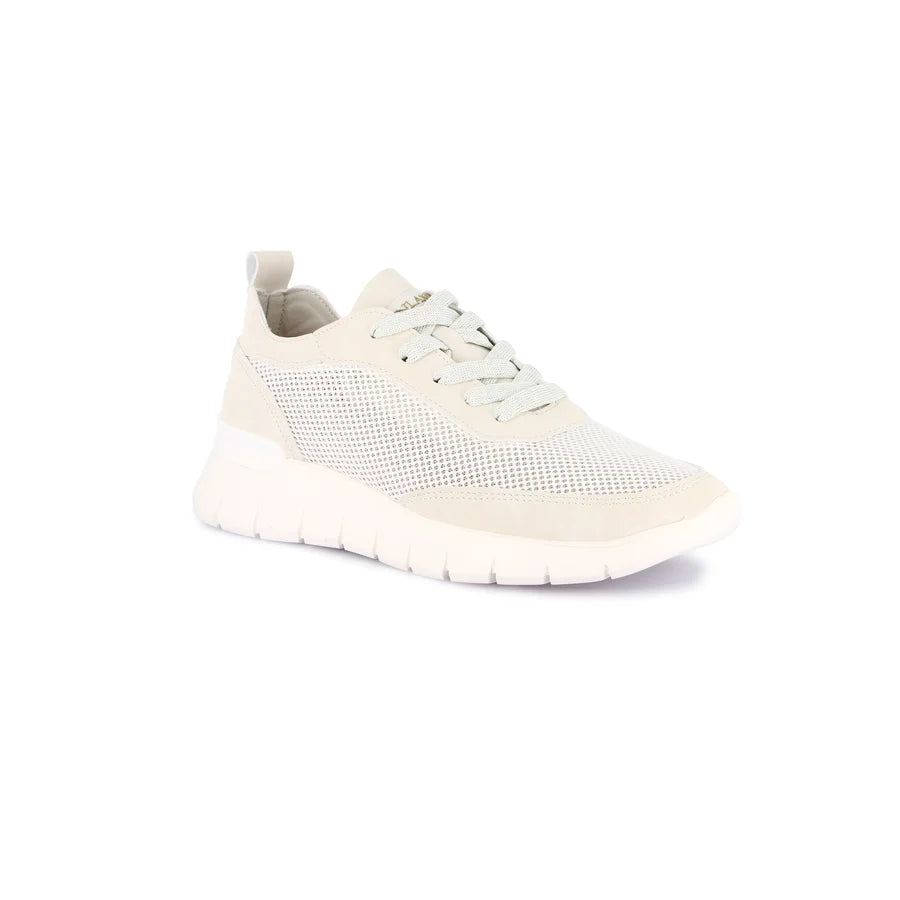 gid://shopify/Product/15754803347788_57520538583372