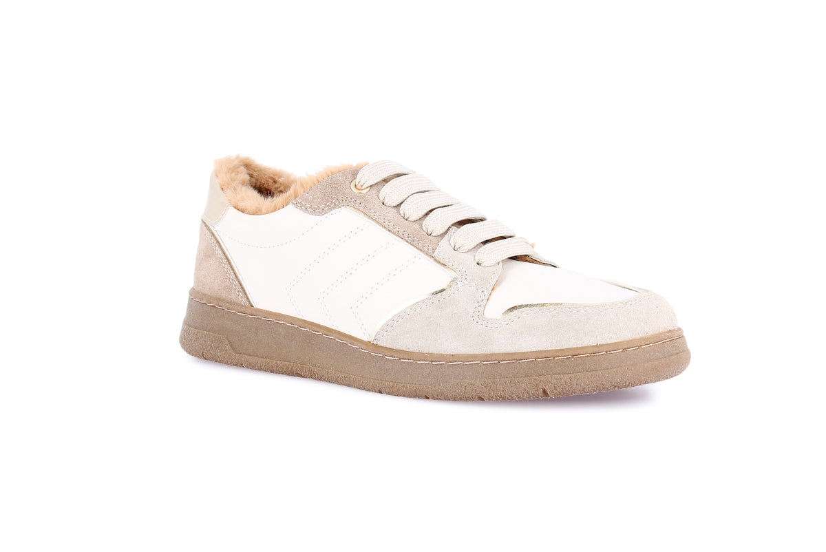 gid://shopify/Product/16231784710476_59548750577996
