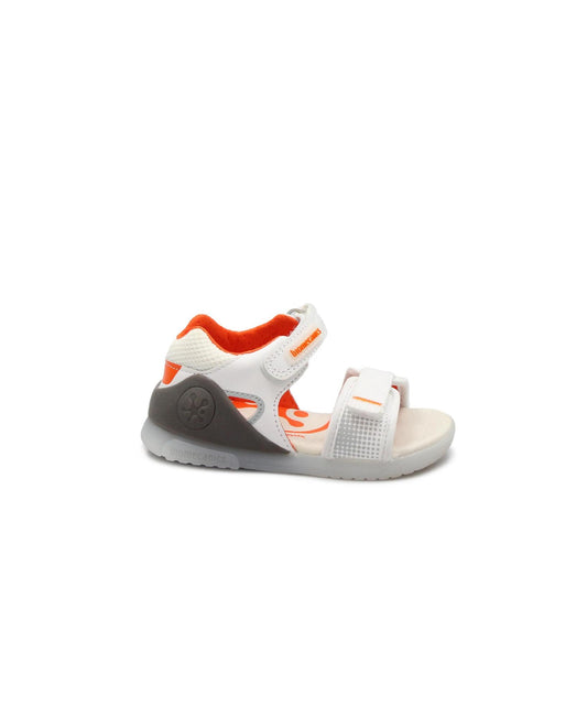 gid://shopify/Product/15738529153356_1