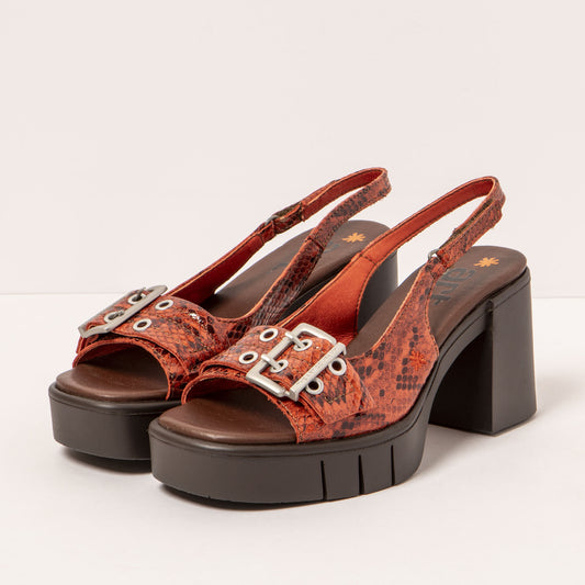gid://shopify/Product/16172159893836_2