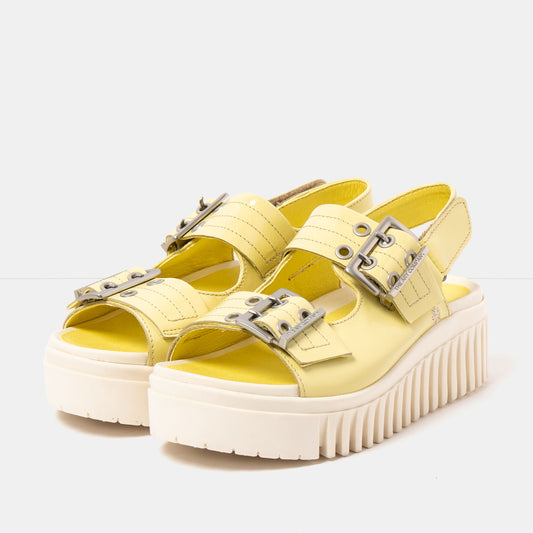 gid://shopify/Product/16172938985804_2
