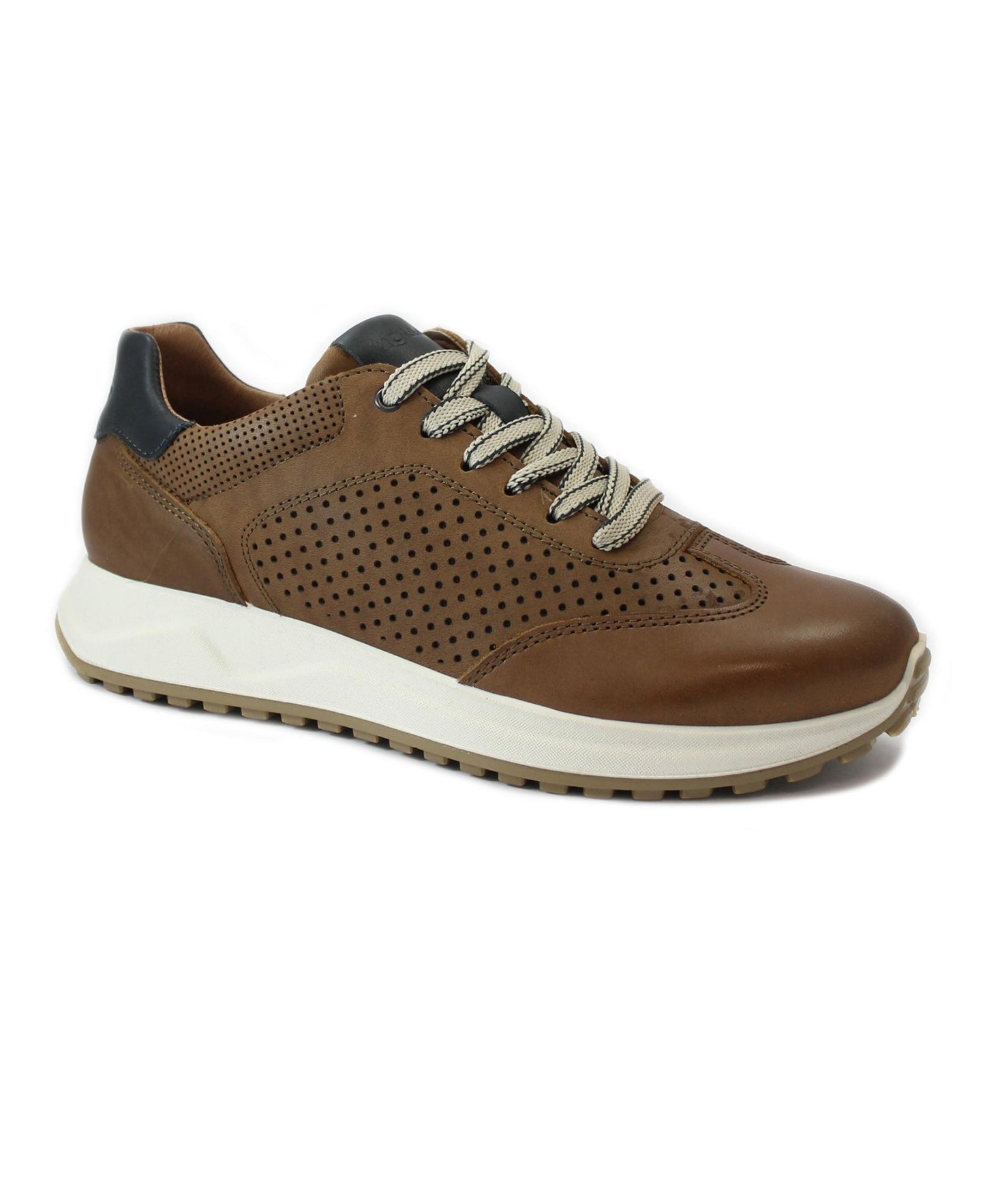 gid://shopify/Product/15740199010636_1