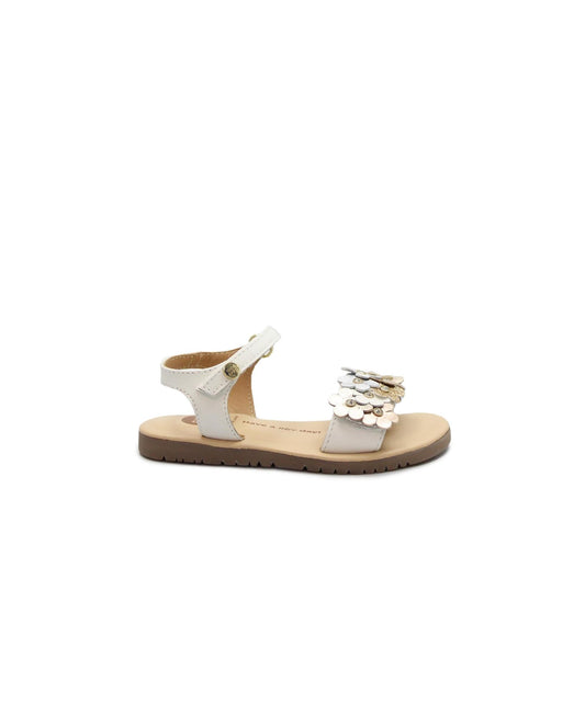 gid://shopify/Product/15738473840972_1