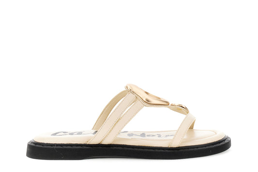 gid://shopify/Product/16176210772300_1