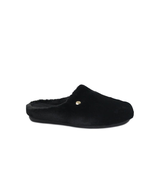 gid://shopify/Product/15737990054220_1