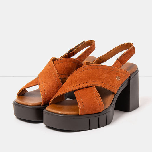 gid://shopify/Product/16173032767820_2