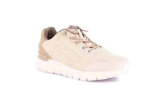 gid://shopify/Product/16106913104204_58822189646156