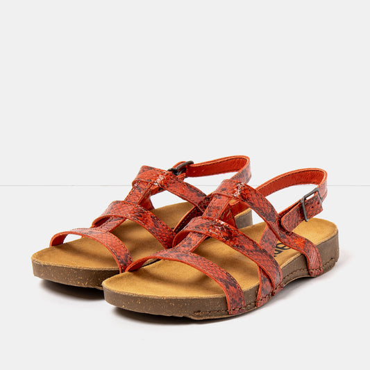 gid://shopify/Product/16172871057740_2
