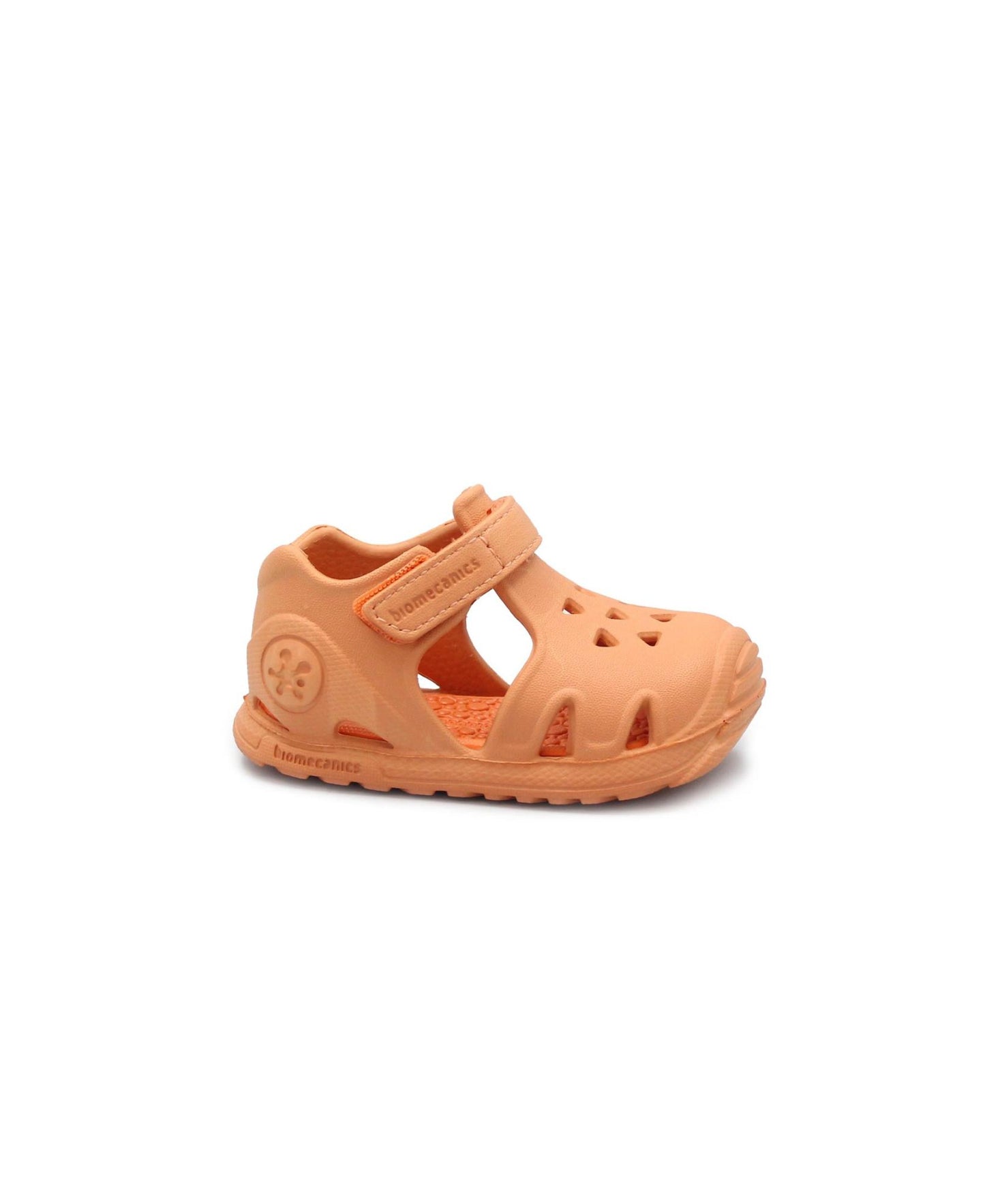gid://shopify/Product/15721630564684_1