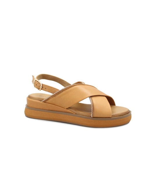 gid://shopify/Product/15738643022156_1