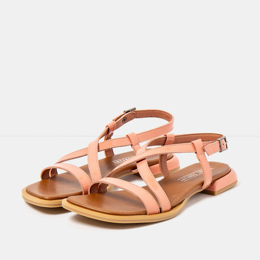gid://shopify/Product/16173040697676_2