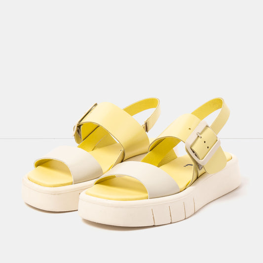 gid://shopify/Product/16172972900684_2