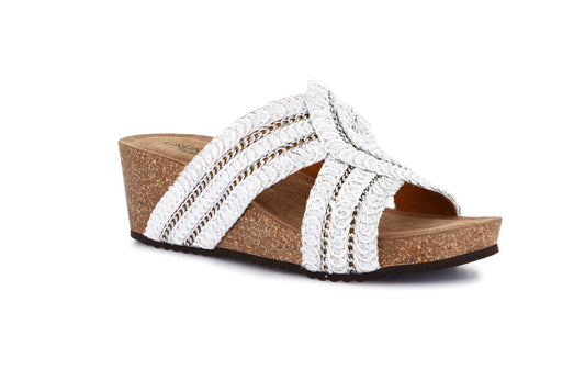 gid://shopify/Product/15713352876364_1