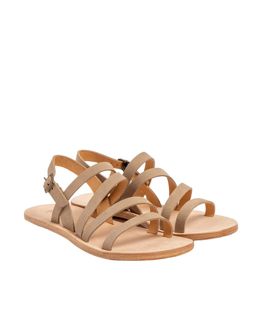 gid://shopify/Product/15700053000524_2