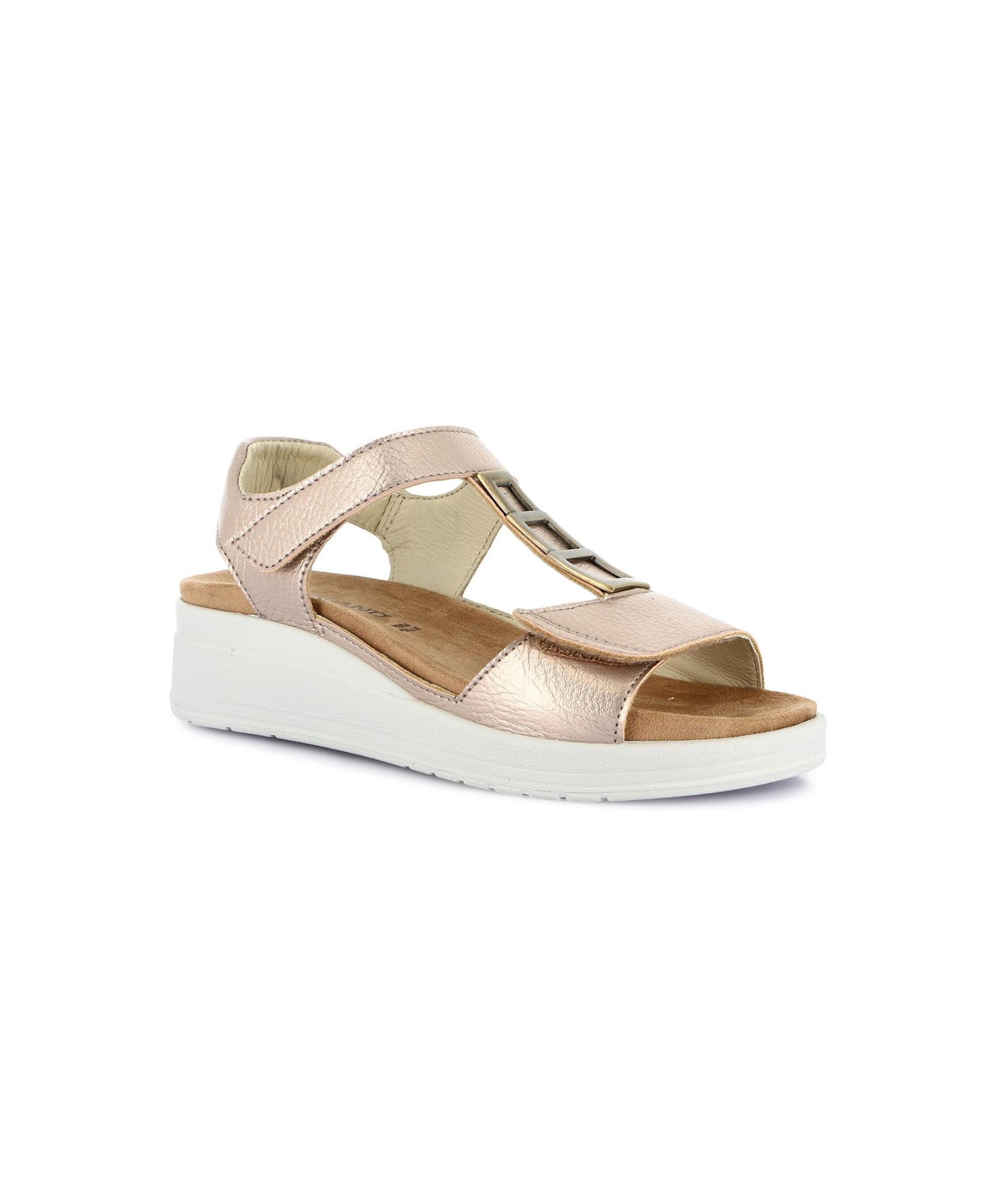 gid://shopify/Product/15859447759180_1