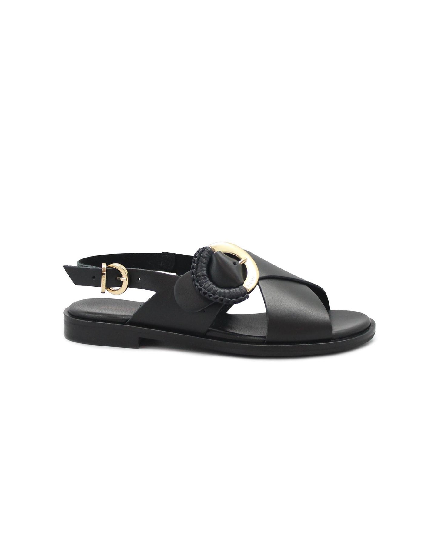 gid://shopify/Product/15738560774476_1