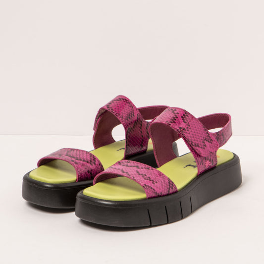 gid://shopify/Product/16172064932172_2