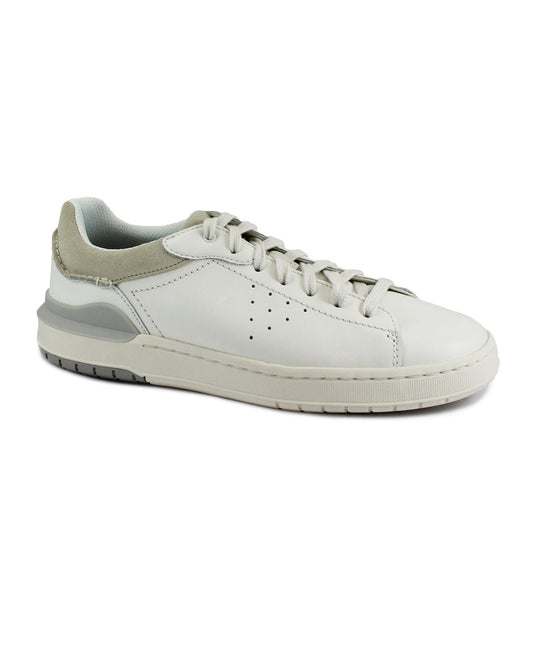 gid://shopify/Product/15740204286284_1