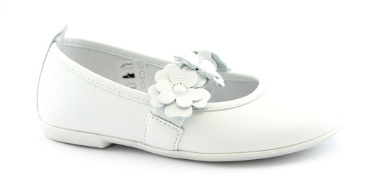 gid://shopify/Product/15739108163916_1
