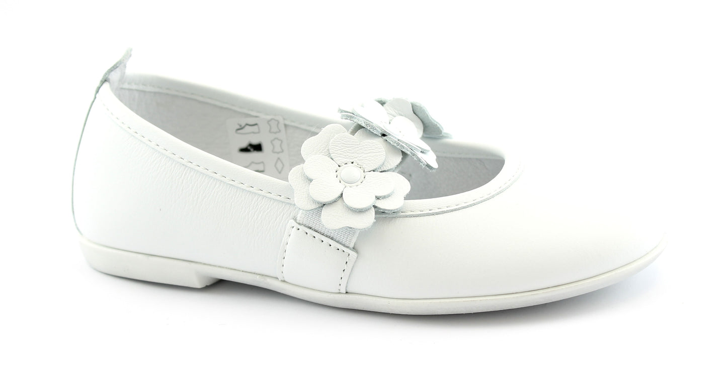 gid://shopify/Product/15739108163916_1