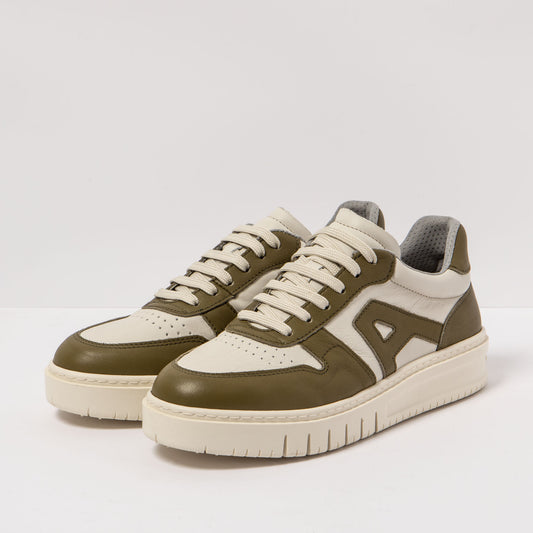 gid://shopify/Product/16171455775052_2