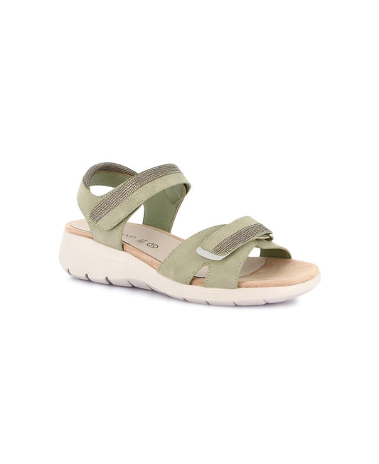 gid://shopify/Product/15939092349260_1