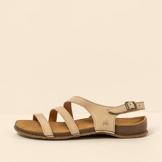 gid://shopify/Product/15700523549004_1