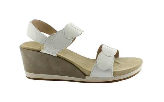 gid://shopify/Product/15739735802188_1