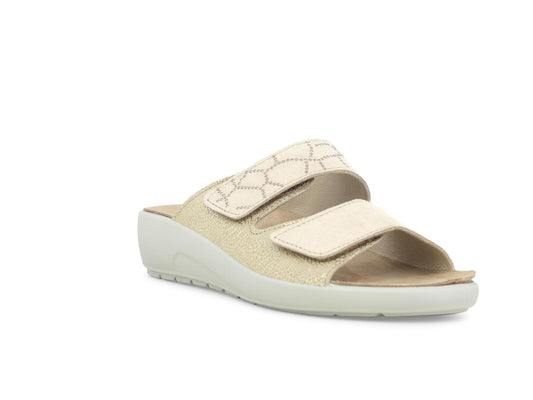 gid://shopify/Product/15761140580684_2