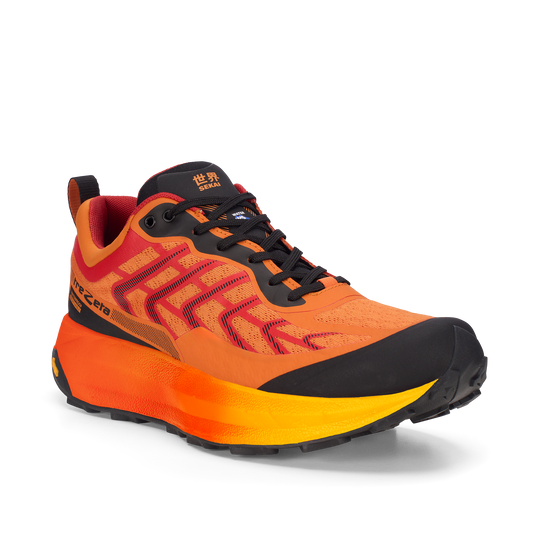 gid://shopify/Product/15702411805004_1