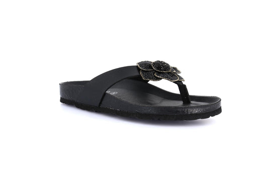 gid://shopify/Product/15755026170188_1