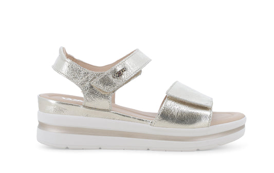 gid://shopify/Product/15686124011852_1