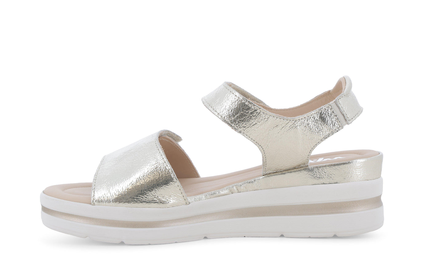 gid://shopify/Product/15686124011852_4