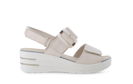 gid://shopify/Product/15761194516812_1