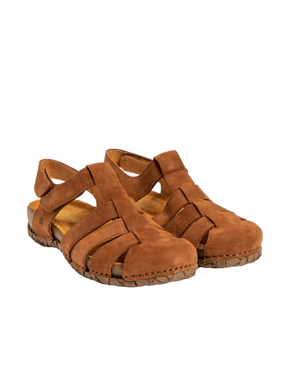 gid://shopify/Product/15700130496844_2