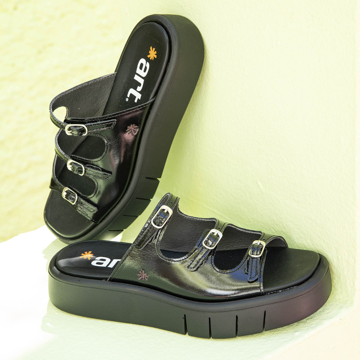 gid://shopify/Product/16172970017100_7