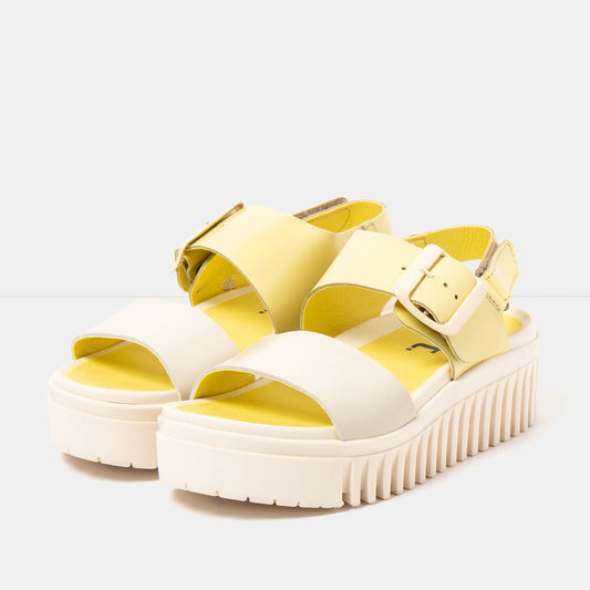 gid://shopify/Product/16172937904460_2