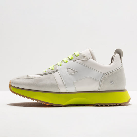 gid://shopify/Product/16171520524620_1