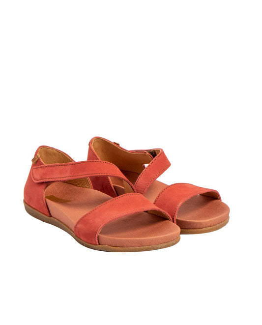 gid://shopify/Product/15700036256076_2