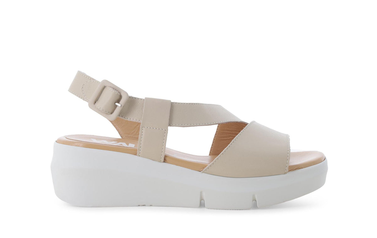 gid://shopify/Product/15761228038476_1