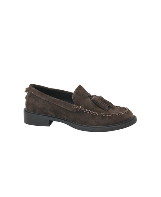 gid://shopify/Product/16081684824396_1