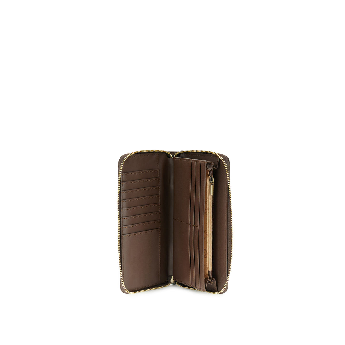gid://shopify/Product/16176534389068_2