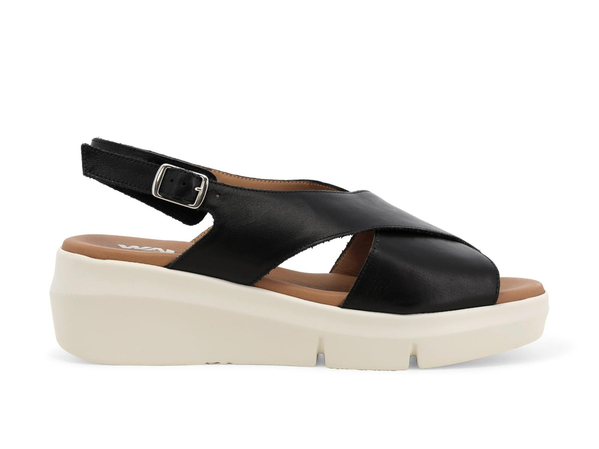 gid://shopify/Product/15761171448140_1