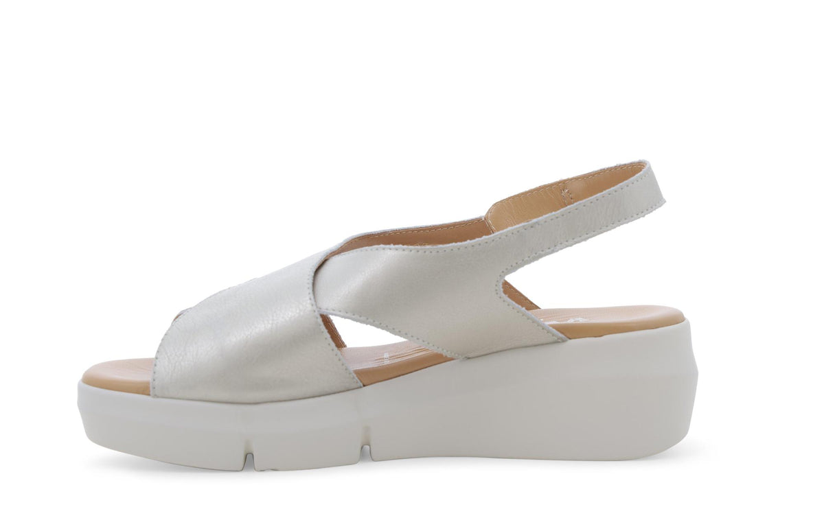 gid://shopify/Product/15761167974732_4